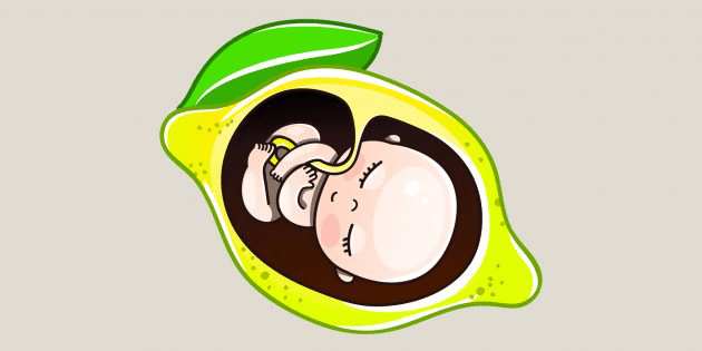 Pregnancy Weeks 14–15: Baby size comparable to a lemon