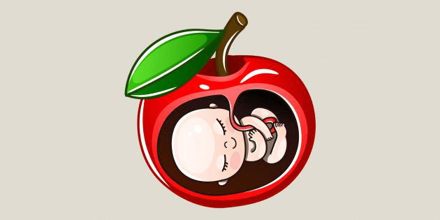 Pregnancy Weeks 11–13: Baby size comparable to an apple