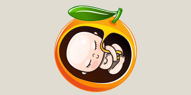 Pregnancy Weeks 20–21: Baby size comparable to an orange