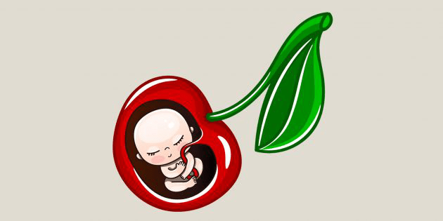 Pregnancy Weeks 7–8: Baby size comparable to a cherry