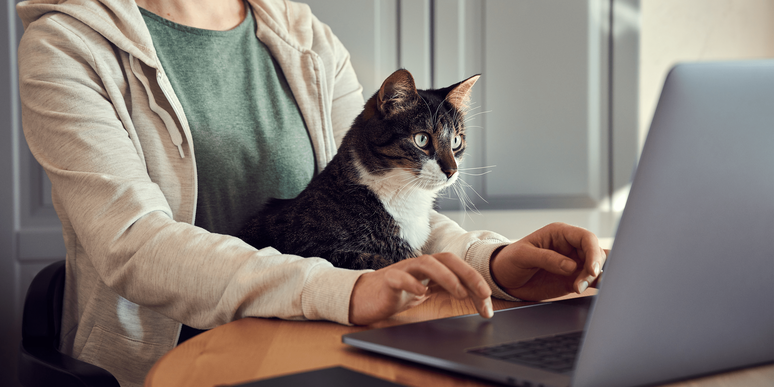 Секреты правильной посадки за ноутбуком для здоровья спины