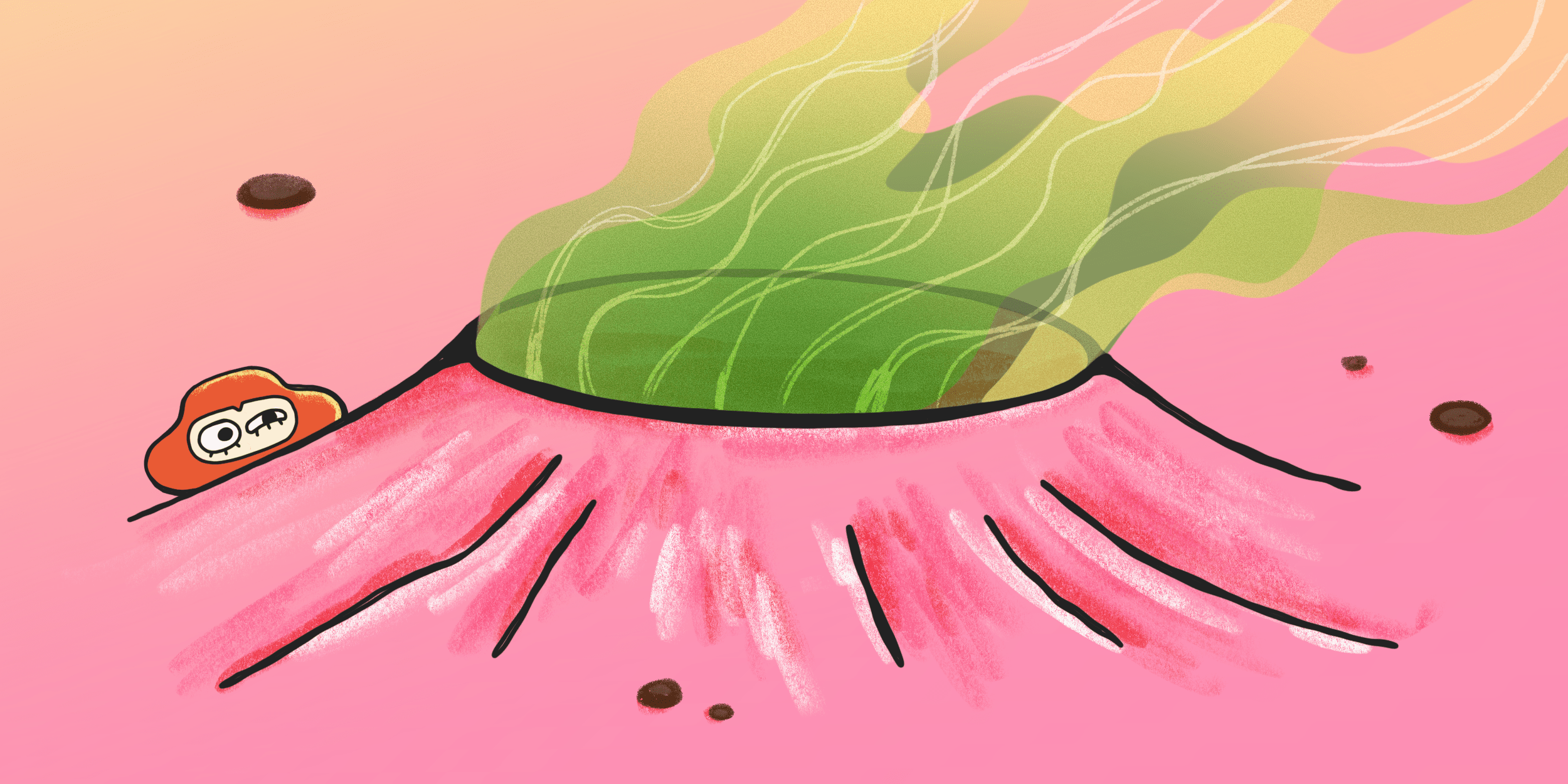 Why Yeast Infection Can Occur from a Pap Smear