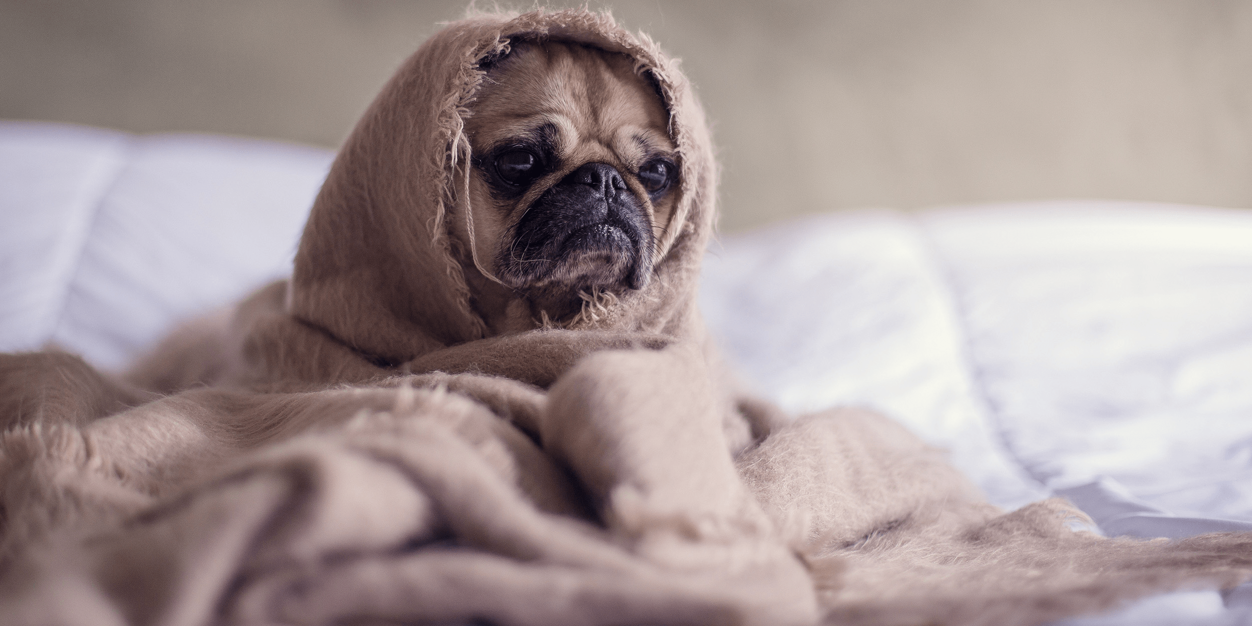 How to Avoid Catching a Cold or Flu