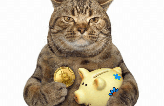 Как использовать биткоин для благотворительности и сделать вклад с умом