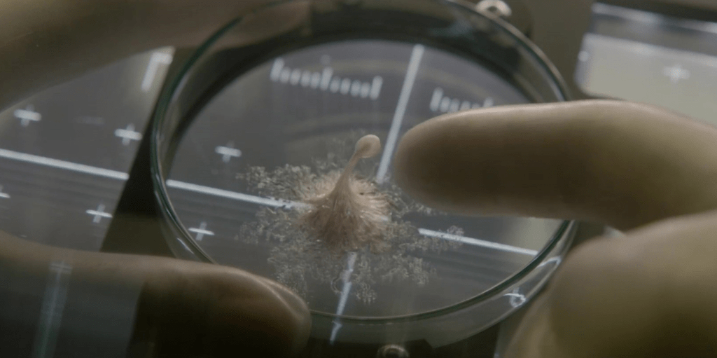 Уникальная бактерия с китайской орбитальной станции: открытие, меняющее представления о жизни в космосе