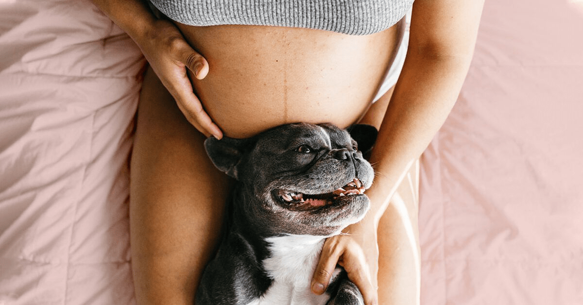 Насколько безопасен живот беременной при случайных ударах?