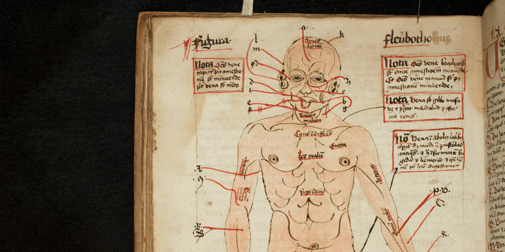 Уникальные рецепты средневековой медицины: тайны древних рукописей Кембриджа