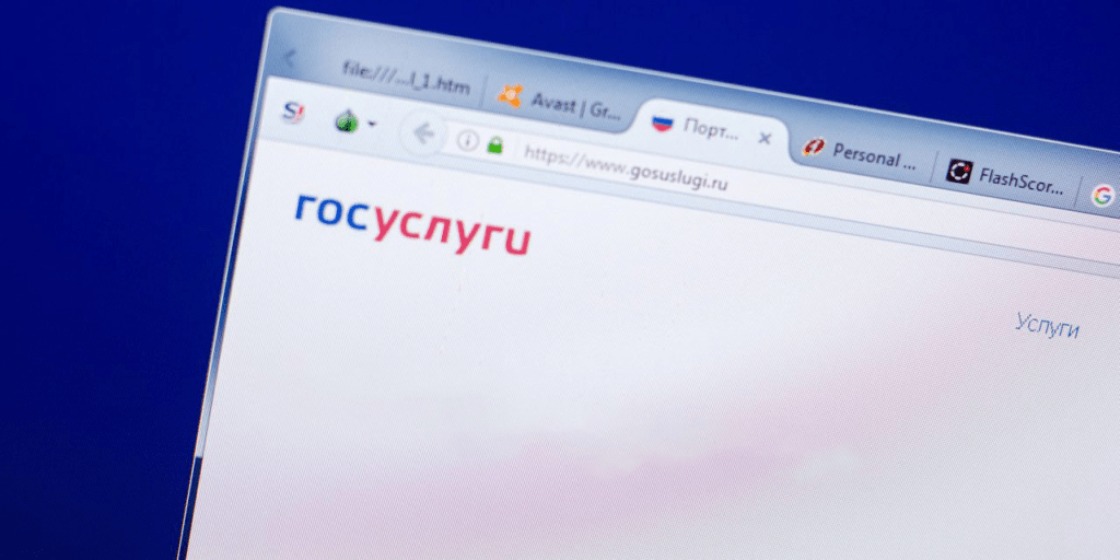 Ministry of Digital Development Selects Websites for Free Access — 'Gosuslugi' and 'VK'