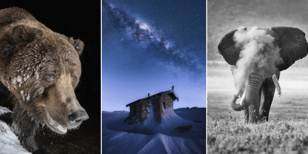Winners Announced for the Nature Through the Lens Photography Contest