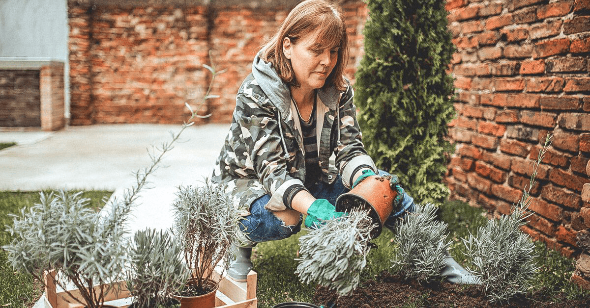 Эффективные способы оставаться активным при диабете 2 типа без посещения спортзала