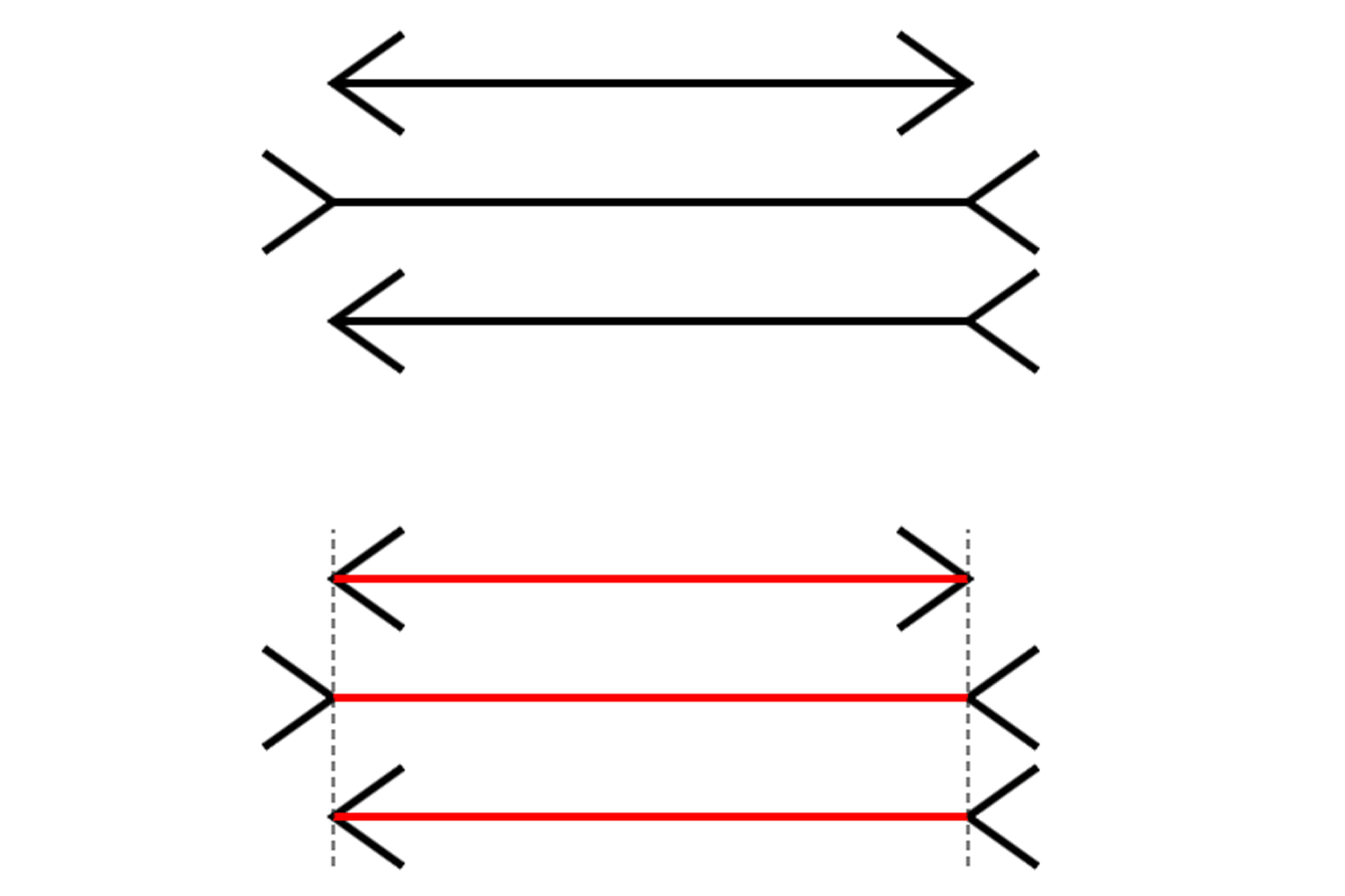 Mengenal Ilusi Müller-Lyer: Rahasia Persepsi Visual yang Menakjubkan