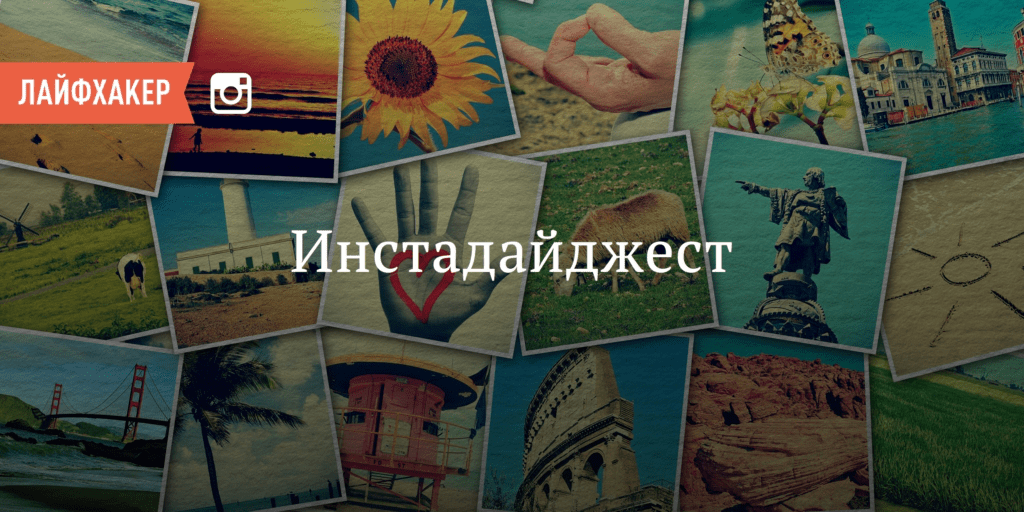 Instagramdagi Yovvoyi Hayot Mo'jizalari