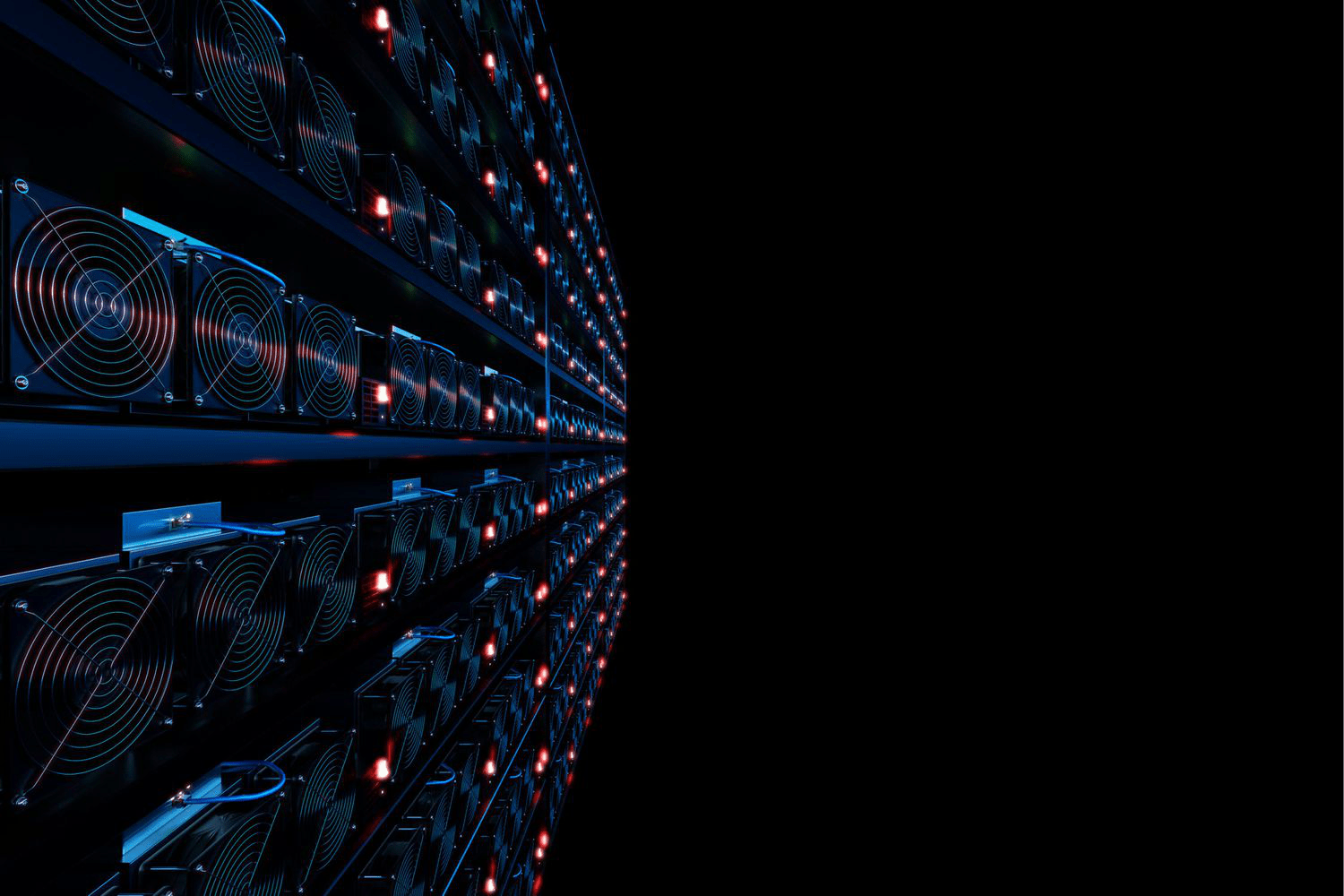 Menurunnya Minat Pencarian Bitcoin di Google: Apa Maknanya untuk Masa Depan Cryptocurrency?