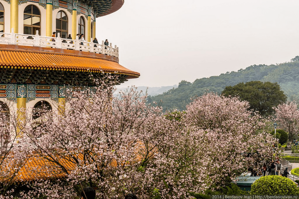 Discover the Unique Journey of Studying Abroad in Taiwan