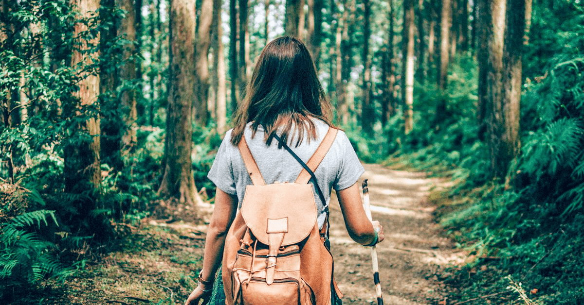 2025 Guide: Poison Ivy Immunity Myth & Key Facts You Must Know