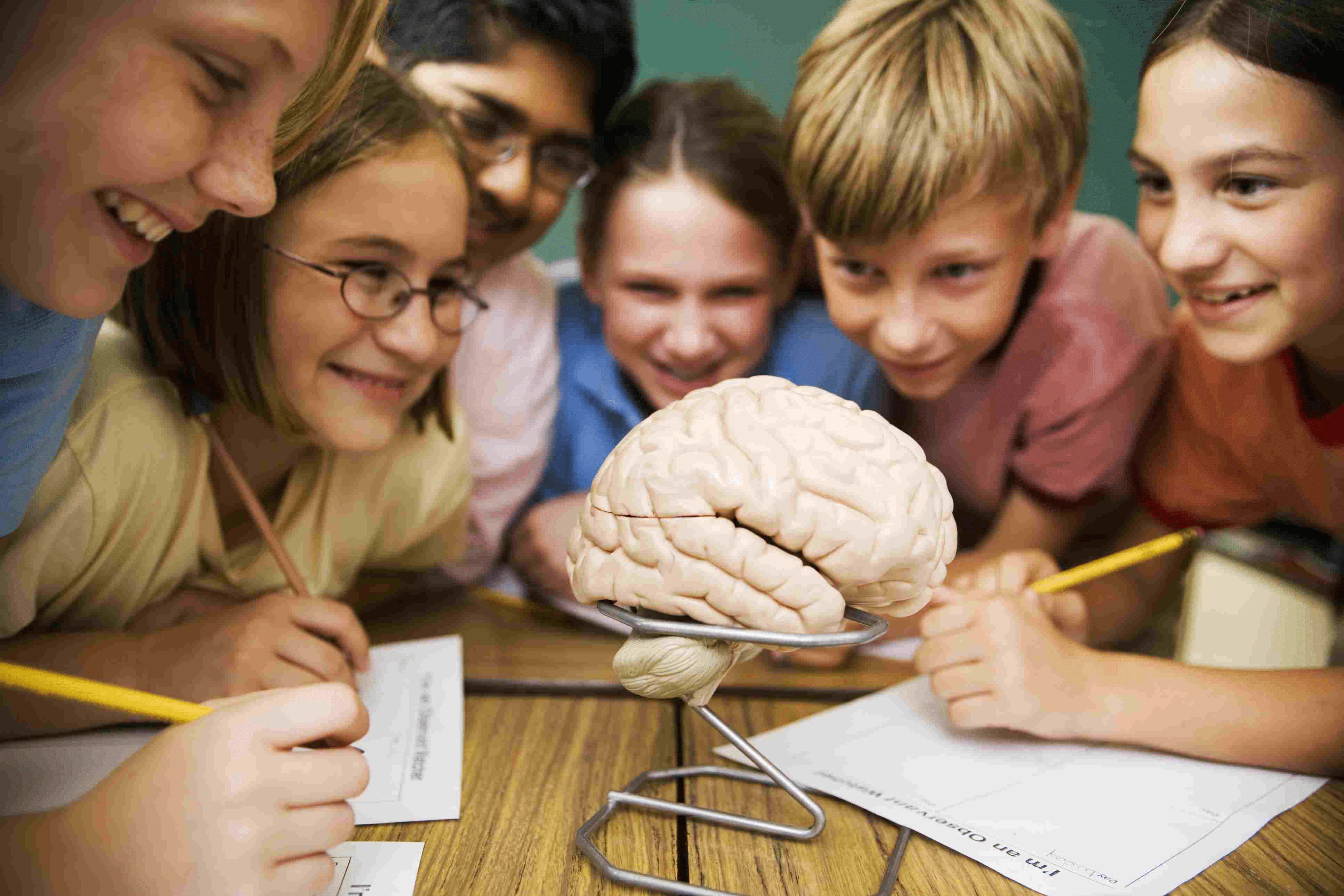 Основные термины психологии, которые стоит знать каждому