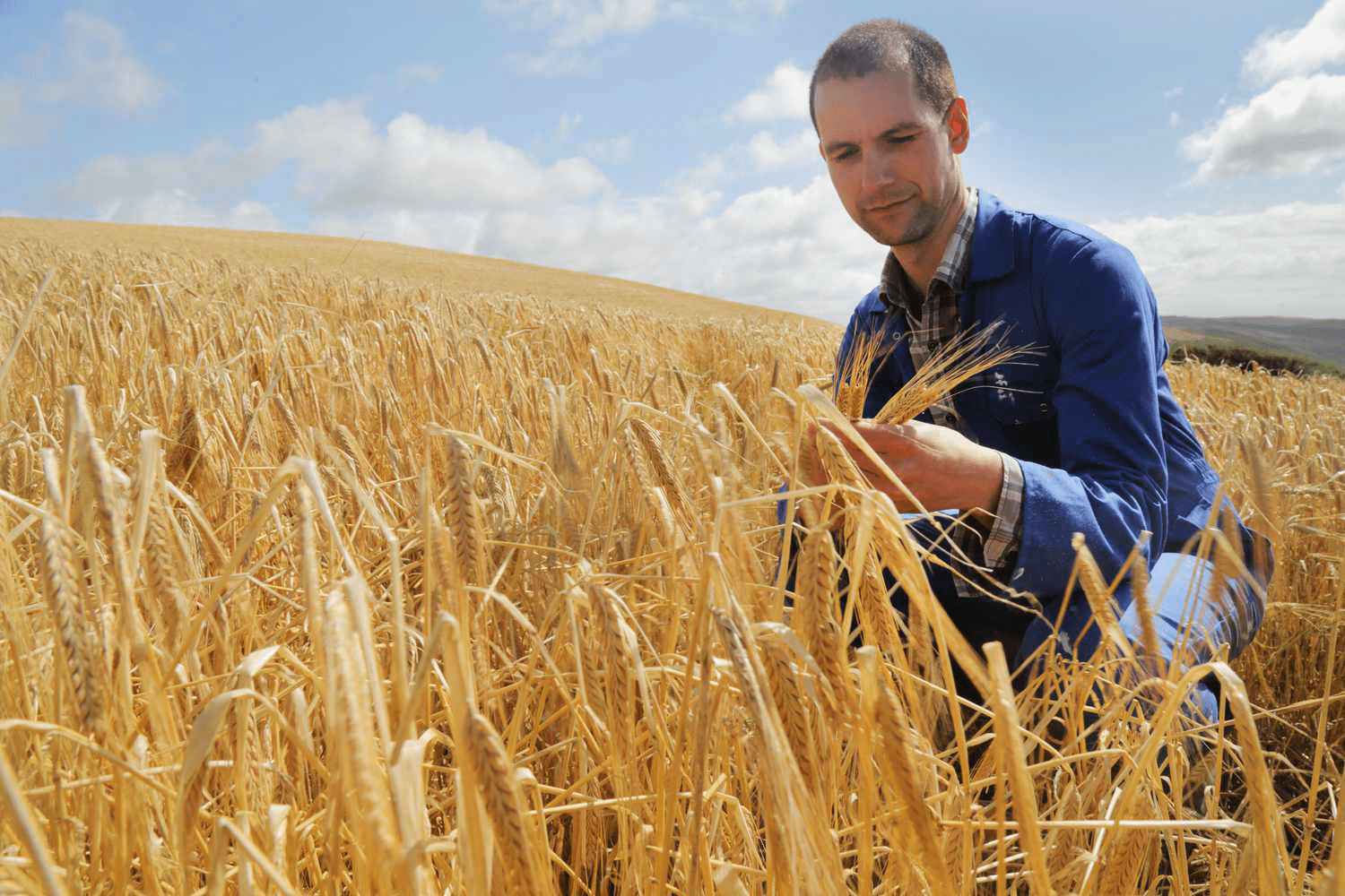 Buying Hedge Explained 2025: Benefits, Examples, and Prices to Watch