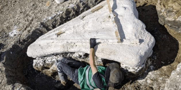 Гигантский морской ящер в Англии