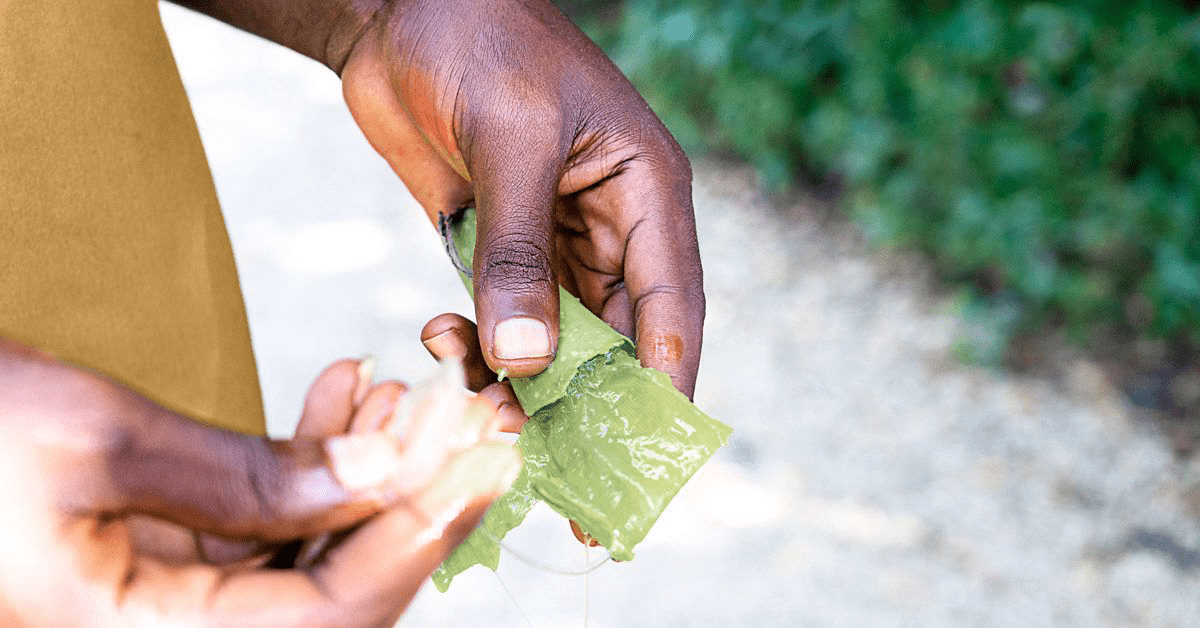 Top 9 Herbal Remedies for Arthritis Pain Relief in 2025 – Affordable Natural Solutions