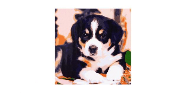 Очаровательный щенок