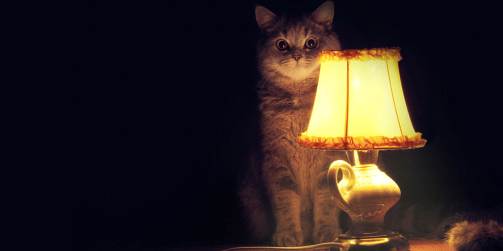 Unlock the Power of Storytelling: Transform Your Marketing Strategy