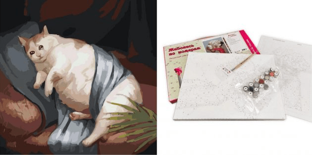 Милый толстый котик