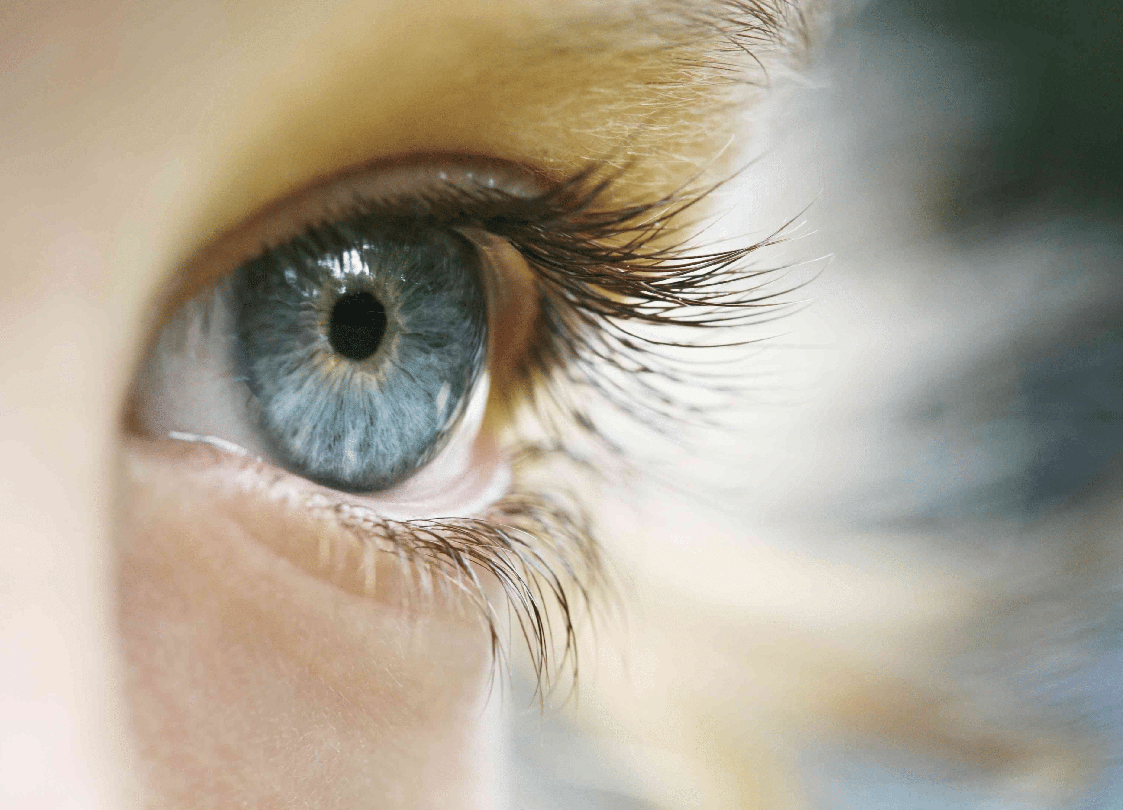 Как работает внимание: что такое пристрастие внимания и как оно влияет на нас