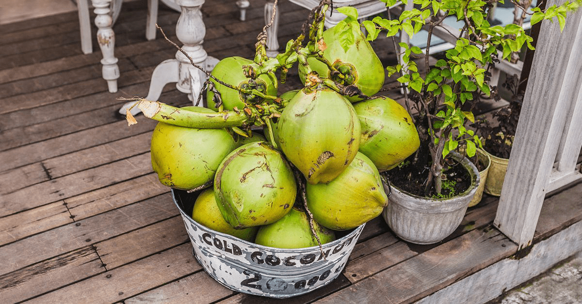 2025 Green Coconut Price & Health Benefits: Nutrition, Uses, and Wellness Guide