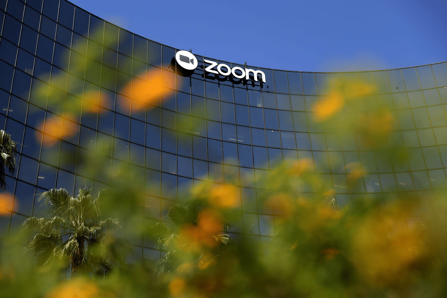 Zoom Revenue and Growth Insights 2025: How Zoom Earns $4.52B Annually