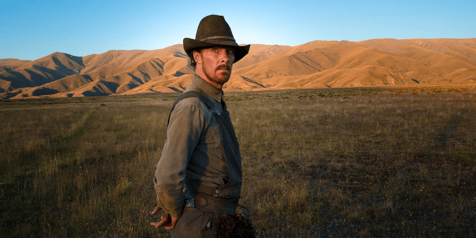 Кадр из фильма «Власть пса»