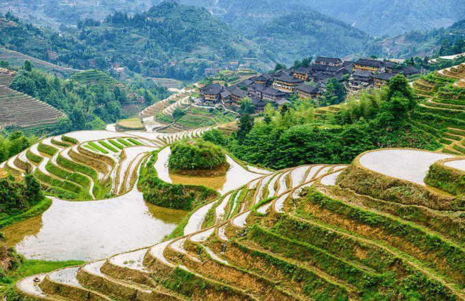 Xitoy iqtisodiyotining asosiy rivojlantiruvchi sohalari