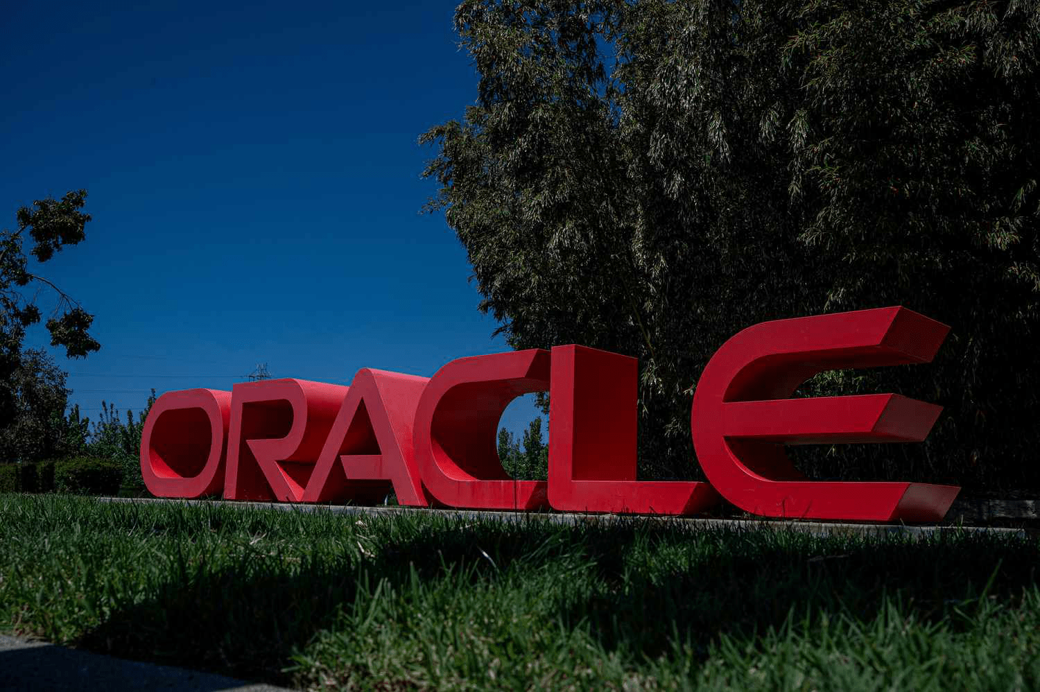 Oracle Stock Hits $135 in 2025 After Major Cloud Deals with Microsoft, OpenAI & Google