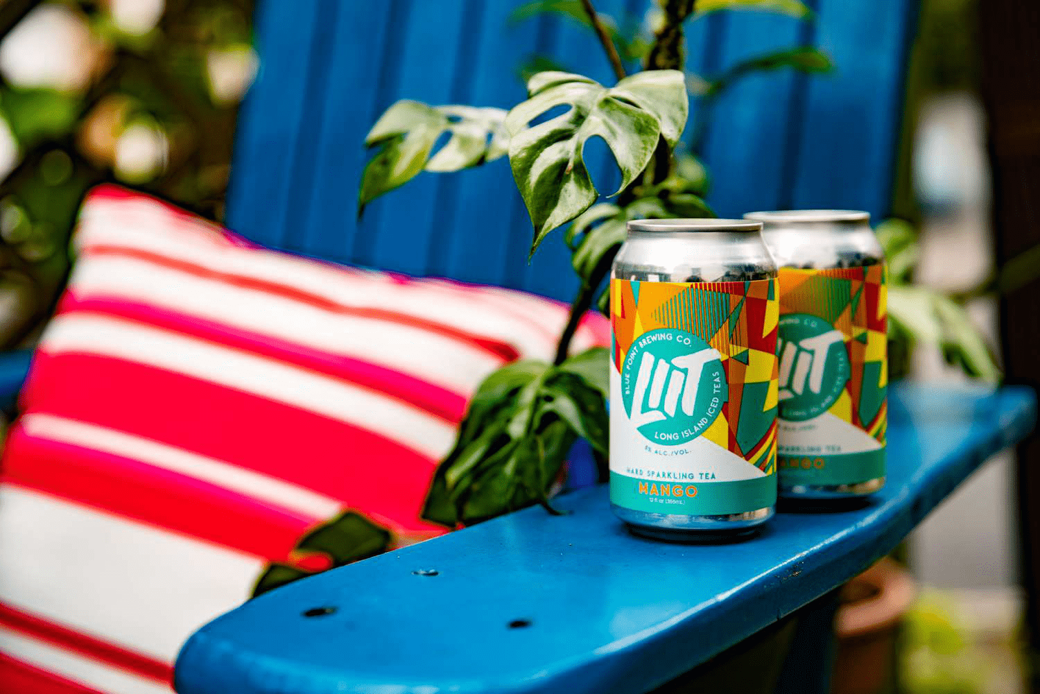 Tilray Shares Surge 36% in 2025 After Acquiring 8 Popular Anheuser-Busch InBev Beer Brands