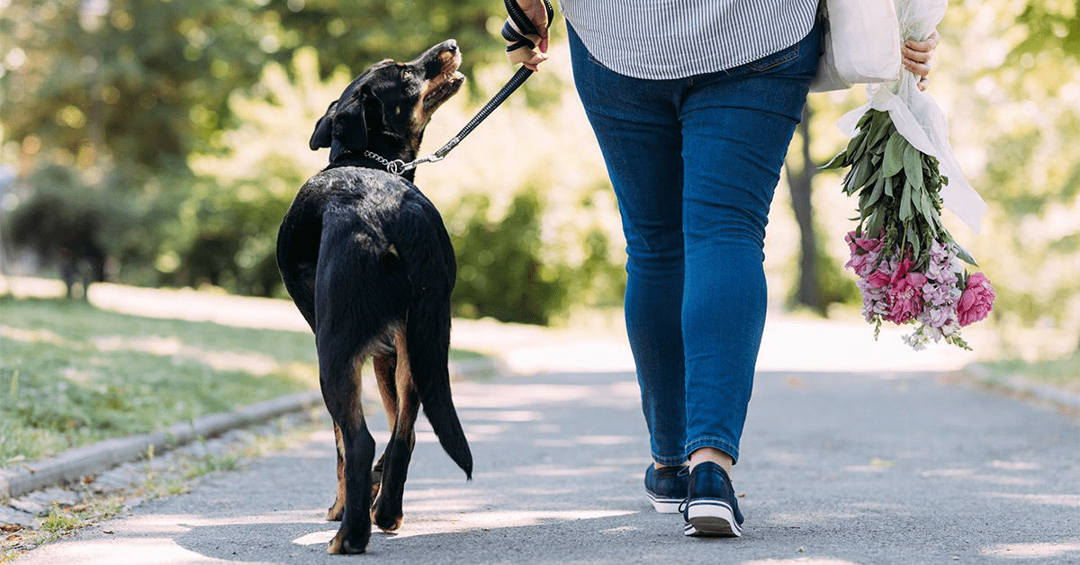 Идеальная форма: всё о подтяжке нижней части тела