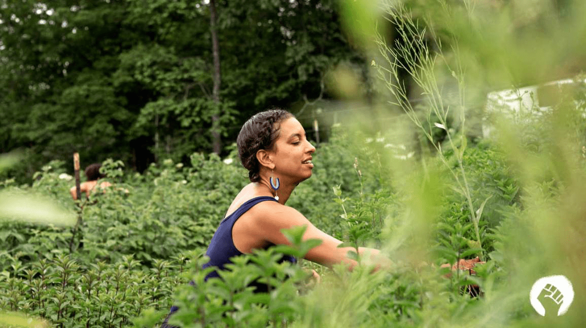 Тайны африканских трав и экологических традиций