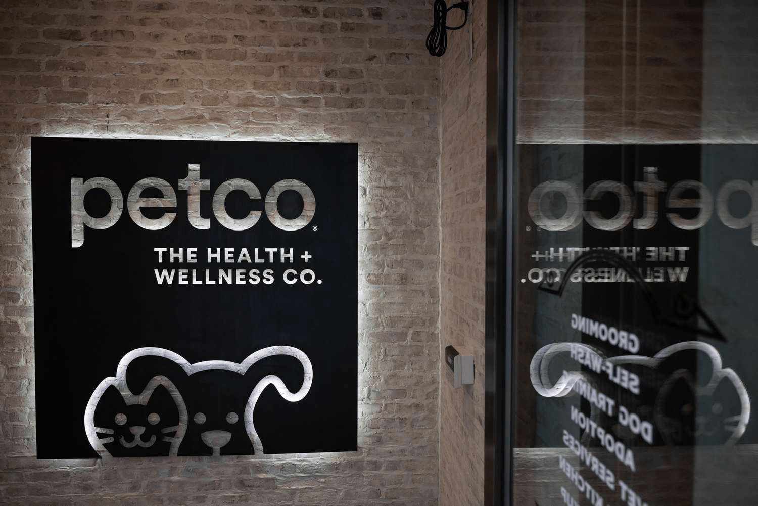 Petco va Chewy Aktsiyalarida Kutilmagan Ko‘tarilish: Meme Stock Qahramoni It Rasmini Joylashtirdi