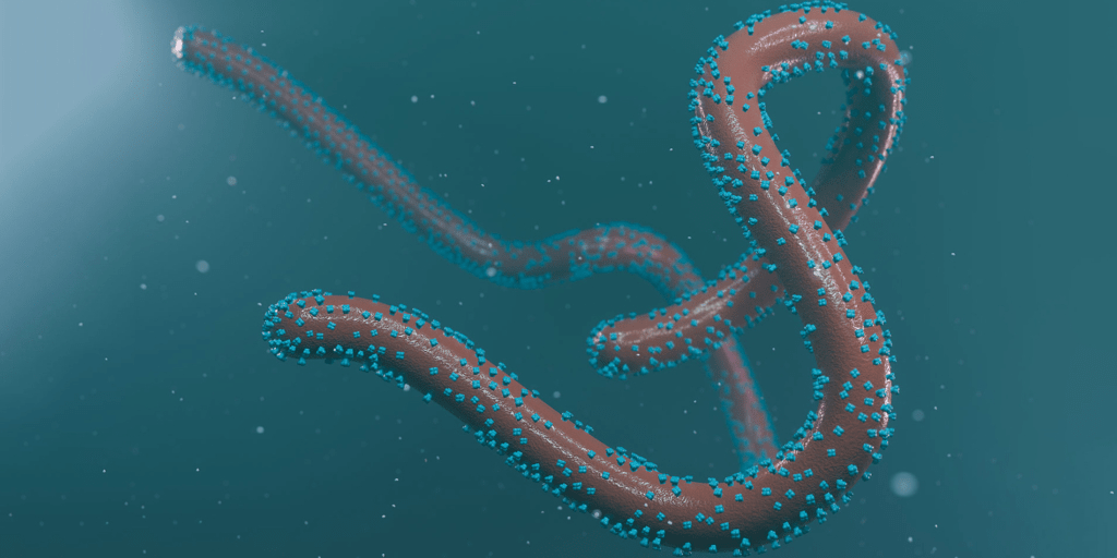 Deadly Marburg Virus Cases Detected in Africa: What You Need to Know