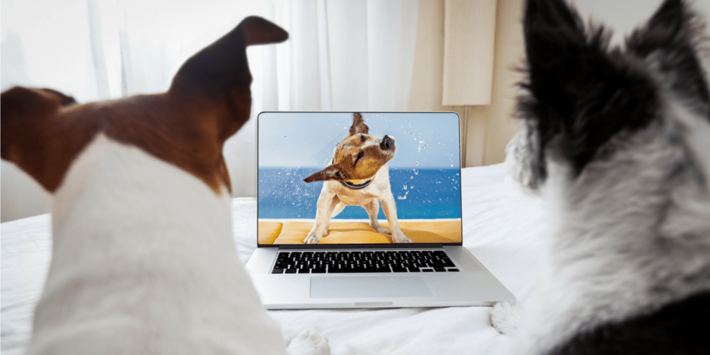 Discover Top Platforms to Stream Inspiring Documentary Films Online