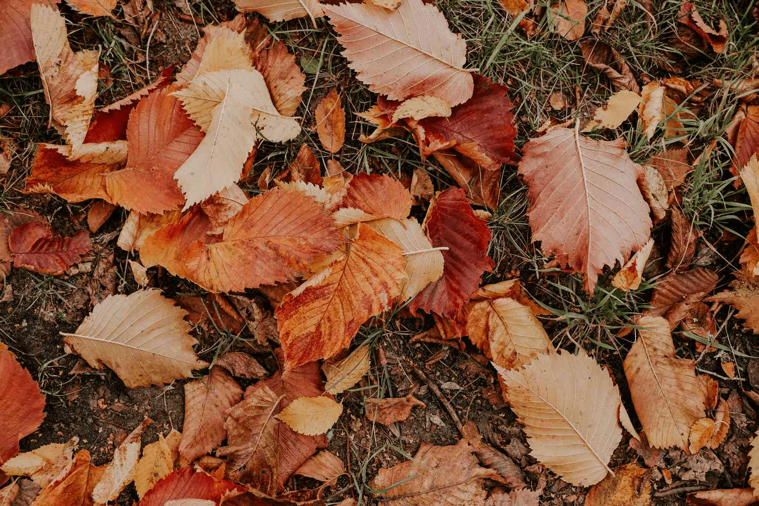 September Effect 2023: Why Stocks Might Dip This Month - Historical Trends & Insights