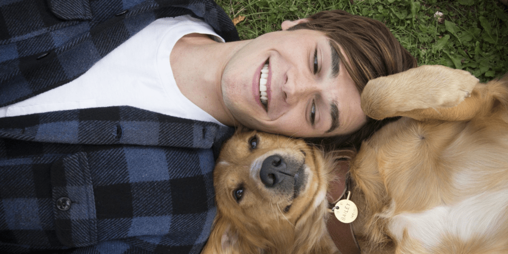 Hidden Gems: Must-Watch Films from 2017 You Might Have Missed