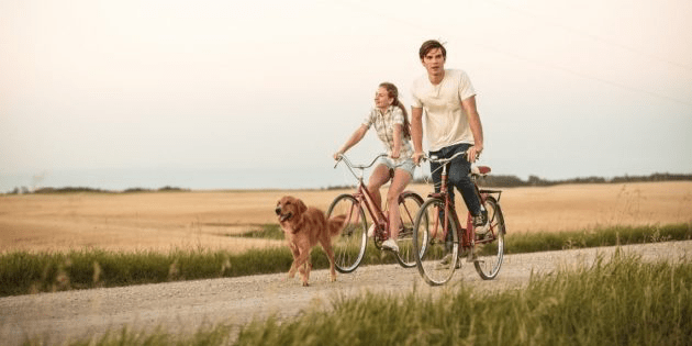 Hidden Gems: Must-Watch Films from 2017 You Might Have Missed