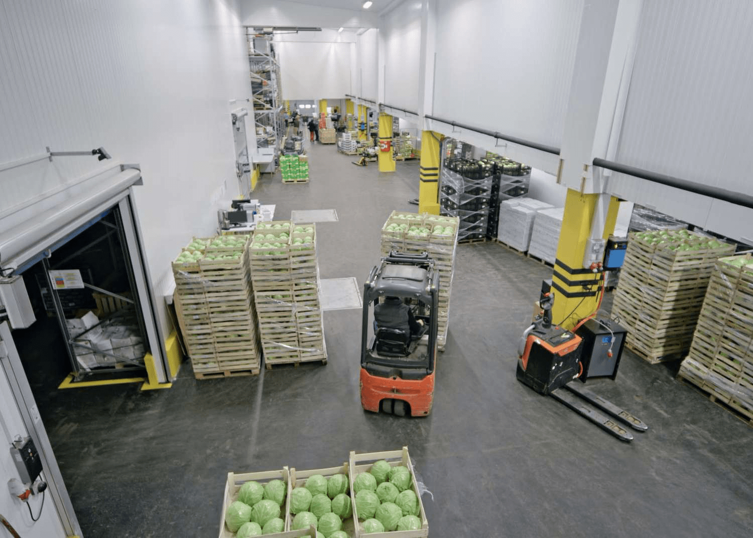 Резкое падение акций United Natural Foods после публикации убытков и сниженного прогноза