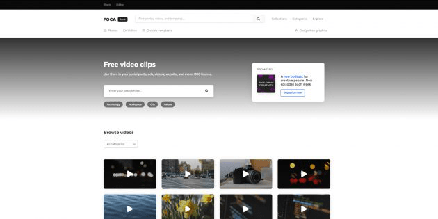 Бесплатные видеостоки: Foca Бесплатные видеостоки: Foca