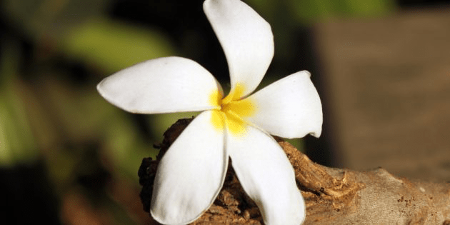 Лучшие ресурсы для бесплатных и легальных изображений