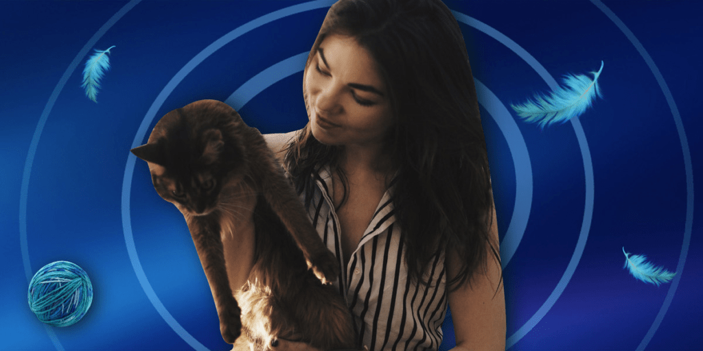 5 Viral Cat Videos Filmed with the Realme 6 Pro Smartphone