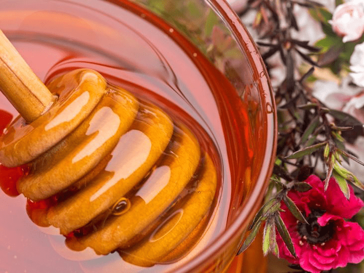 Manuka Asalining Akne Qarshi Ajoyib Foydalari va Qanday Qo‘llash Kerak