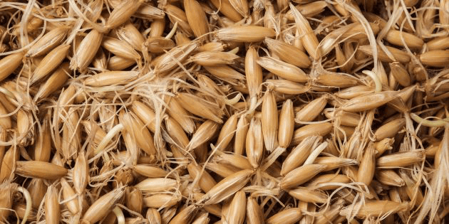 Проращенный овёс - источник цинка