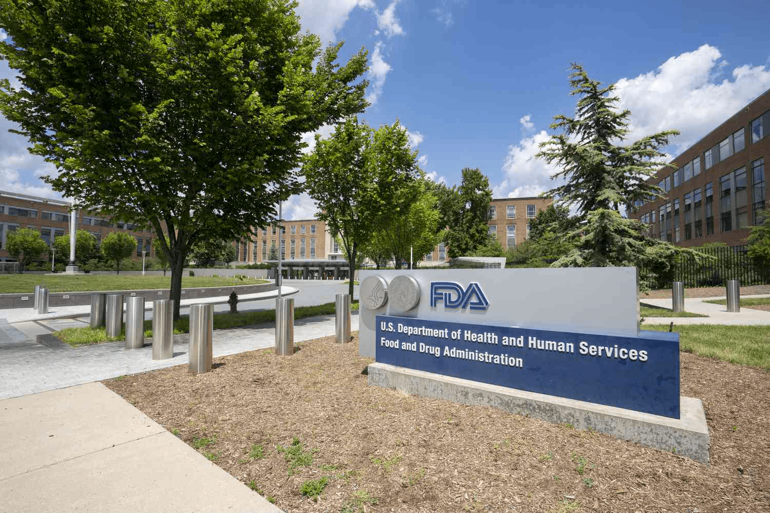 Arrowhead Pharmaceuticals Innovatsion Dori Bilan Yangi Ufqlarni Zabtlashga Tayyorlanmoqda