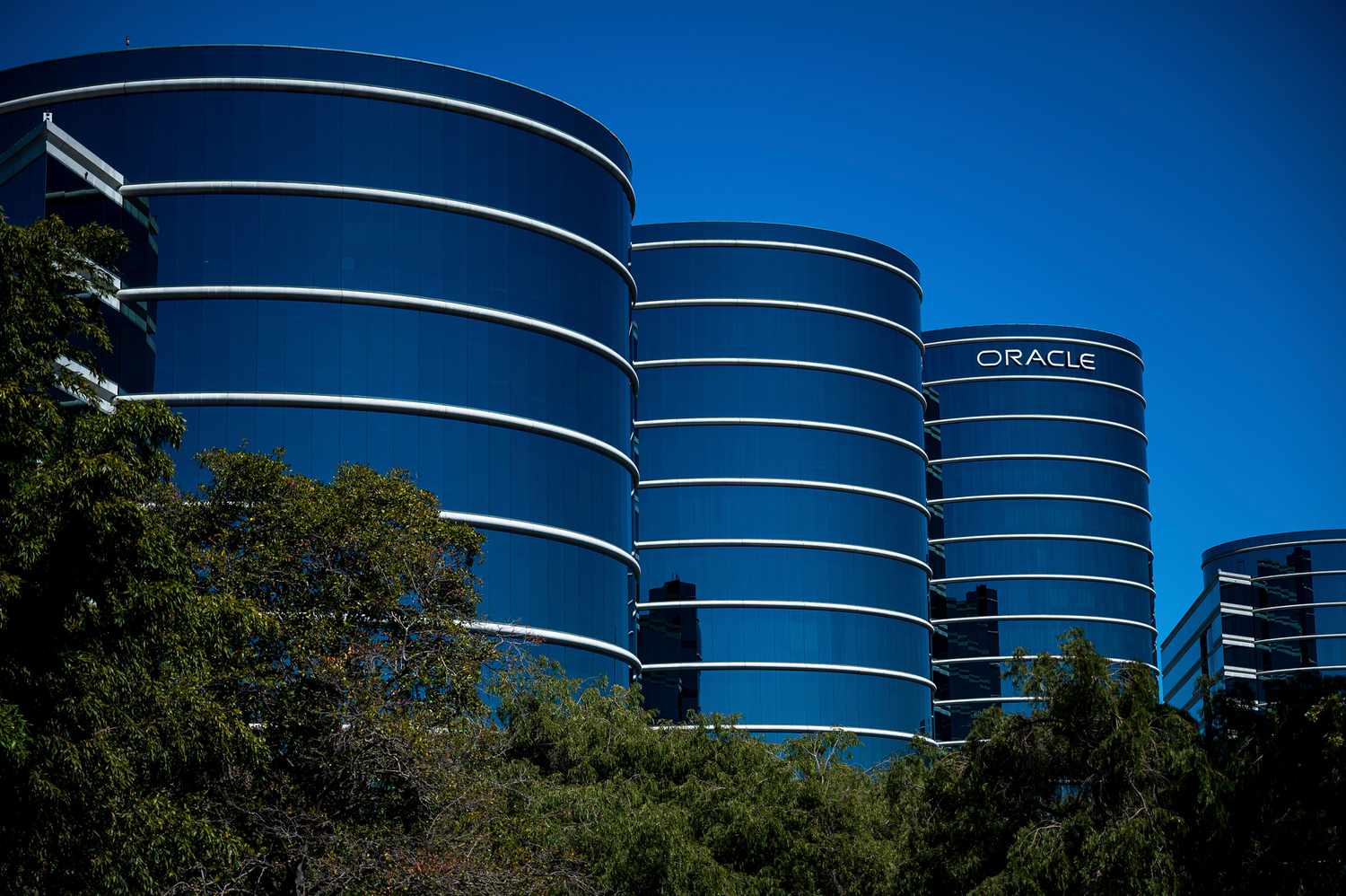 Лидеры Рынка: Oracle, JPMorgan, Southwest Airlines и Другие Компании, Которые Влияют на Биржу