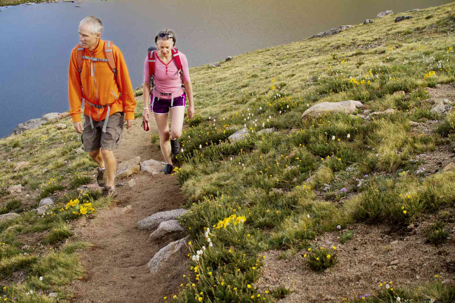 Эффективные стратегии накопления на пенсию для людей среднего возраста